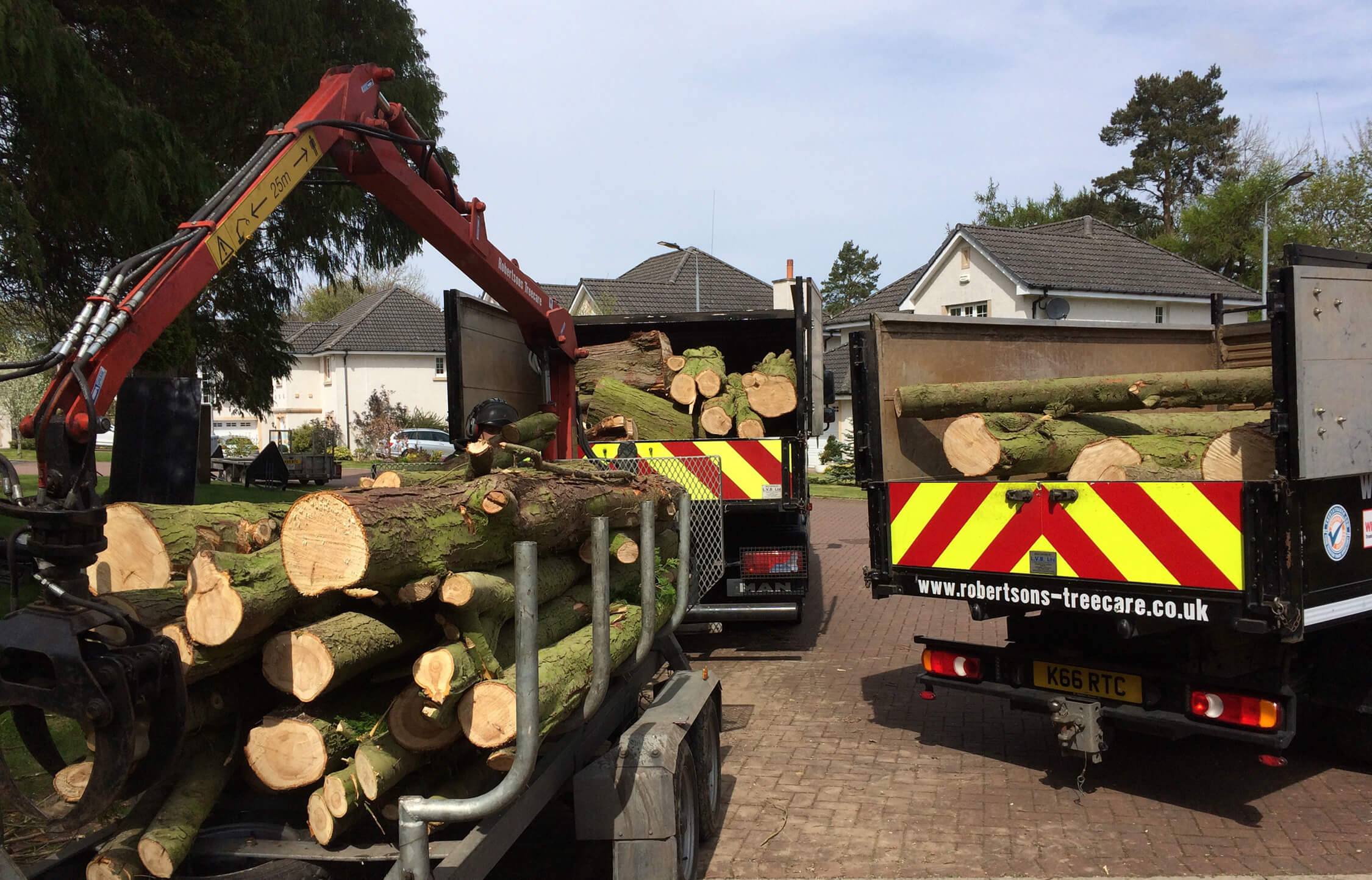 Fully loaded and ready to roll Trucks loaded with trees and ready to roll