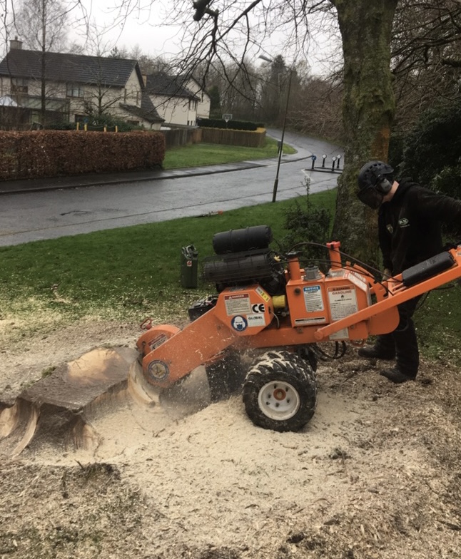 Stump Grinding Stirling