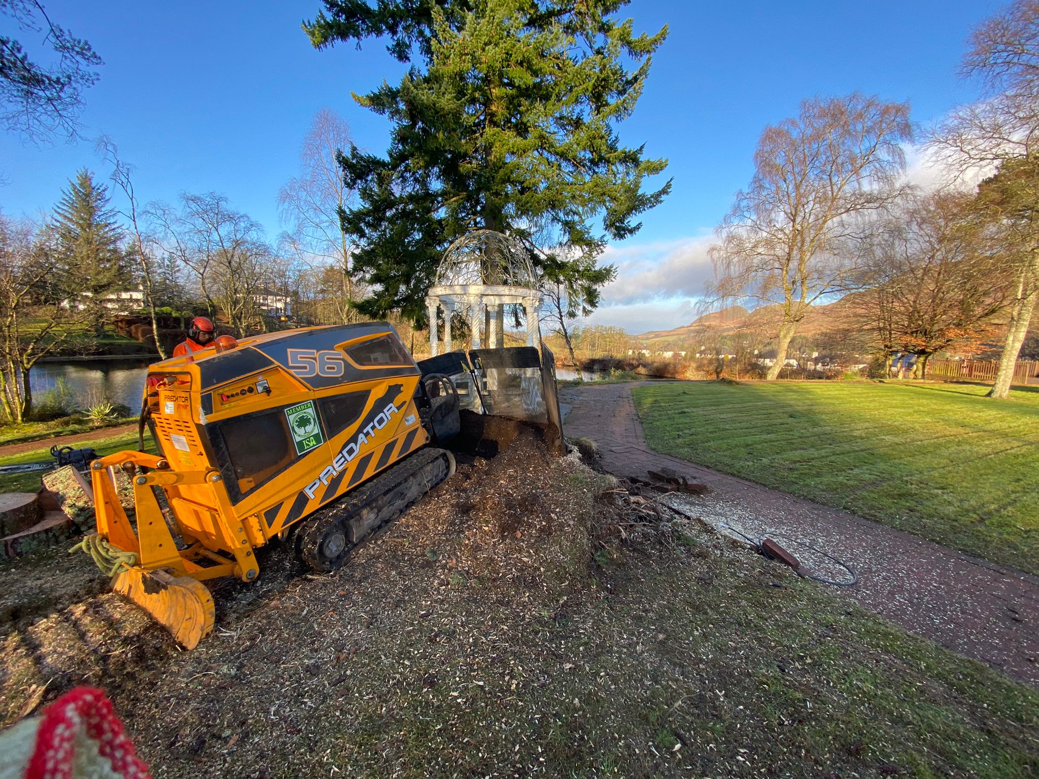 Stump Grinding Glasgow