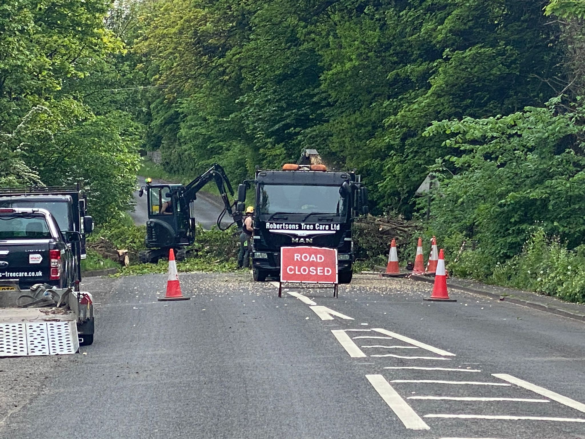 Stump Grinding Glasgow