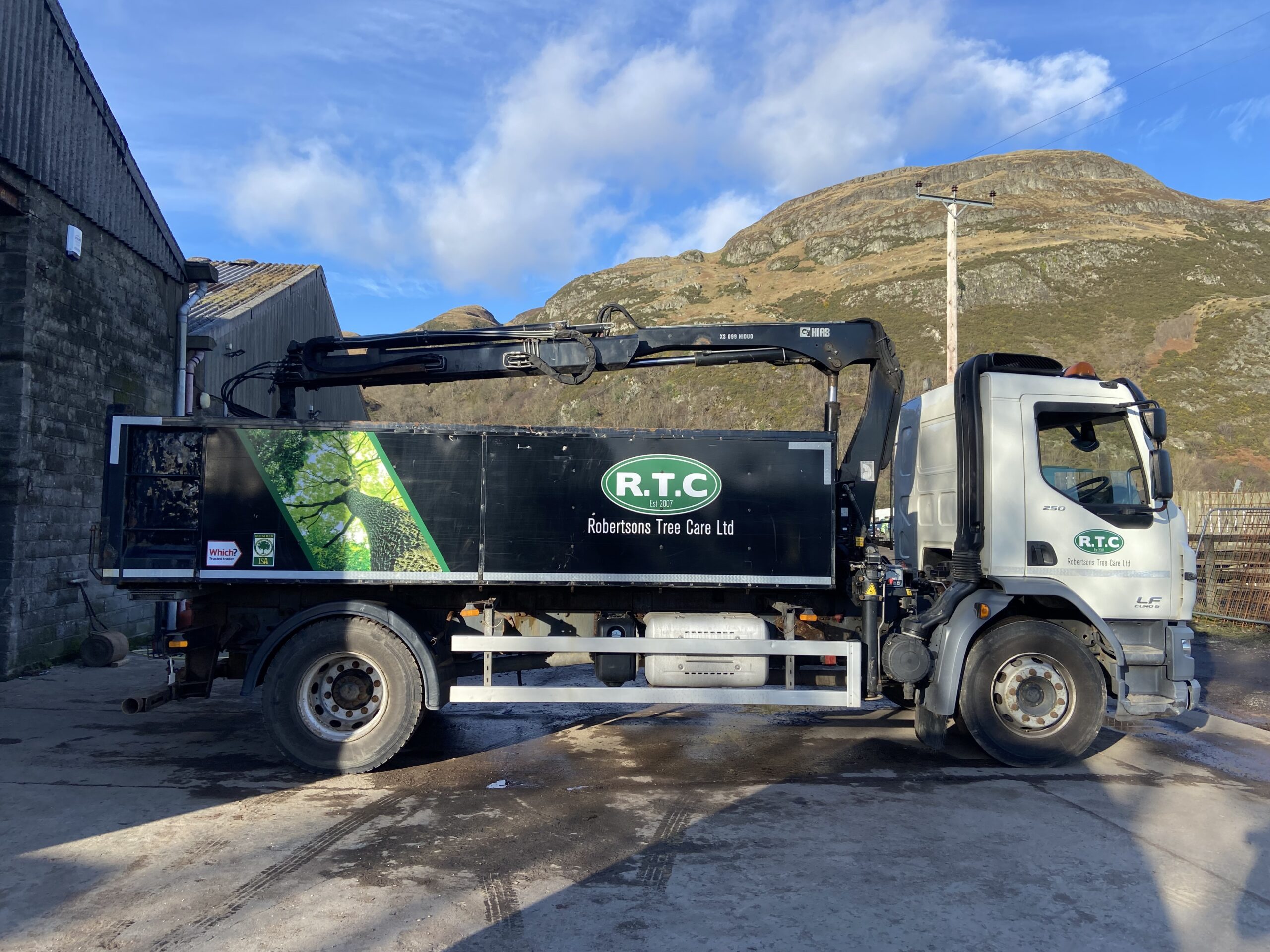 Trucks loaded with trees and ready to roll